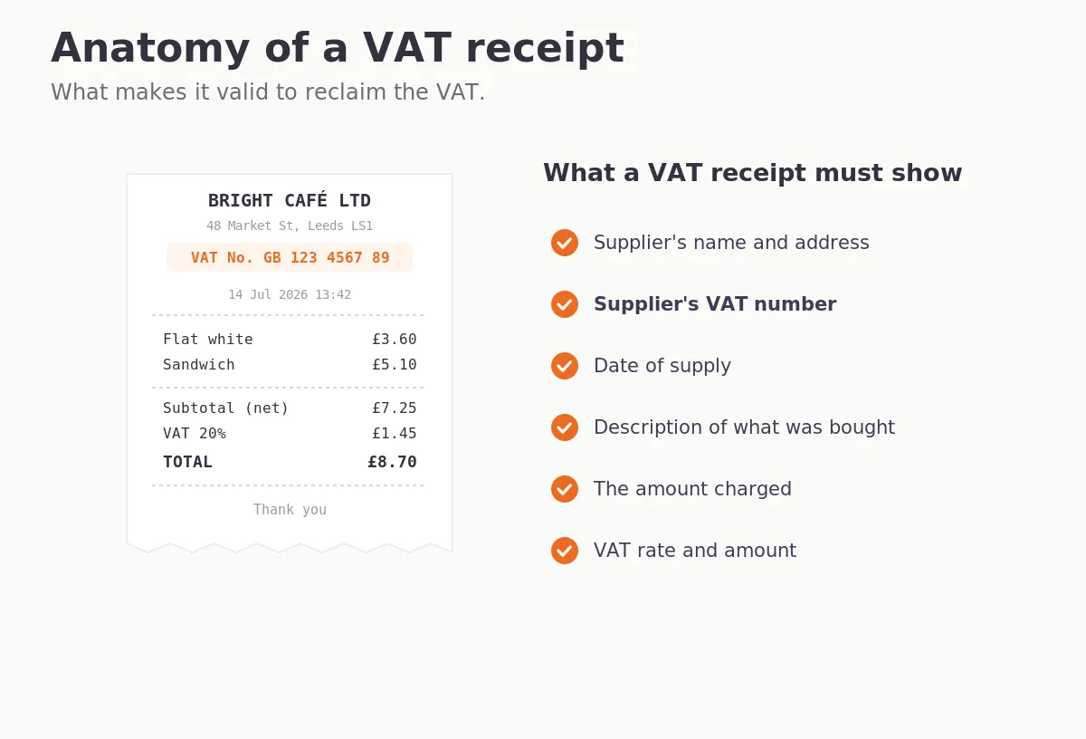 vat_anatomy.webp