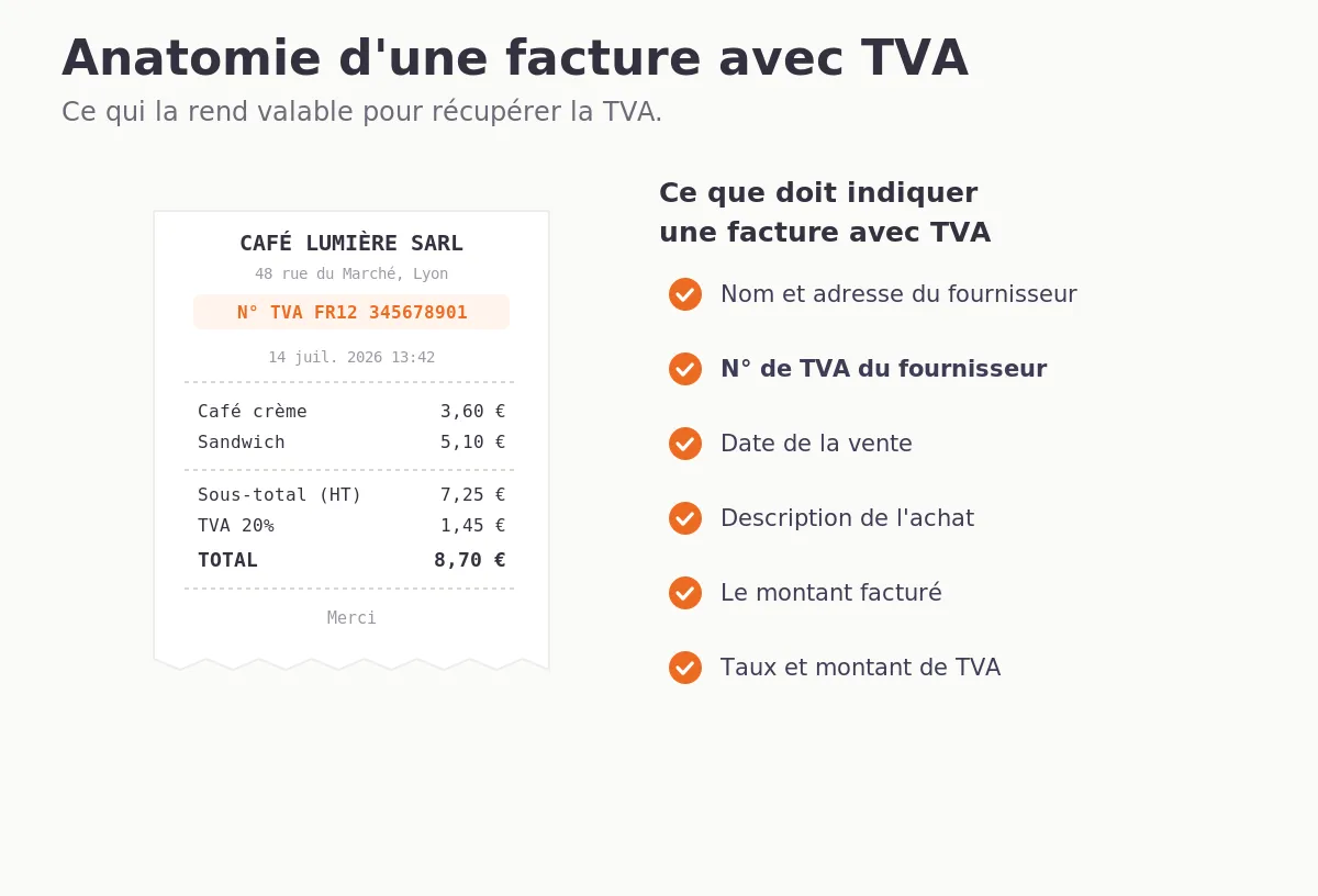 vat_anatomy_fr.webp