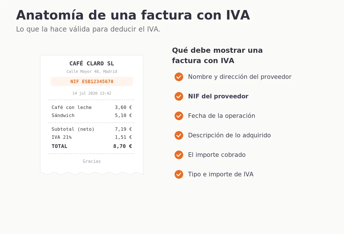 vat_anatomy_es.webp